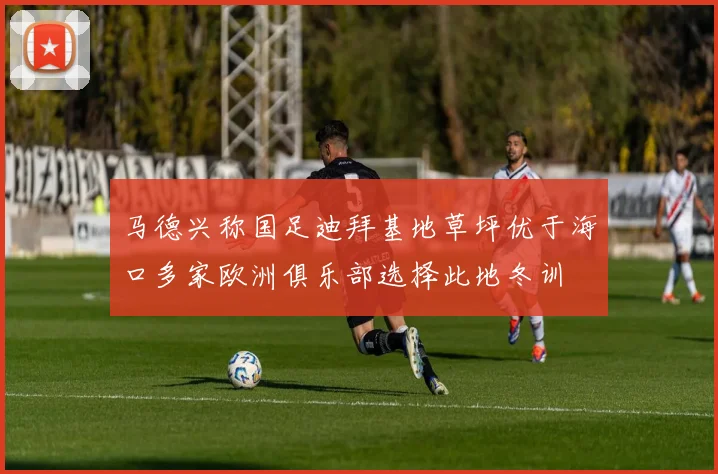 马德兴称国足迪拜基地草坪优于海口多家欧洲俱乐部选择此地冬训